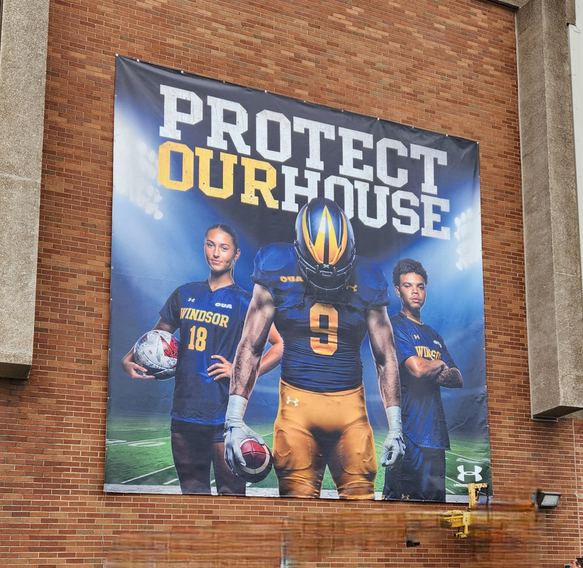 Custom Vinyl & Mesh Banner